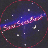 A VHS style GIF featuring the SoulSeesBest logo